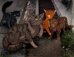 Purdy Trying To Get The New Prophecy Cats Through Twoleg Place Warrior Cats Warrior Cats Art Warrior Cats Books