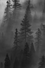 60 Easy And Simple Landscape Painting Ideas Forest Photography Landscape Paintings Simple Landscape Paintings