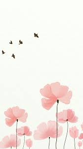Sweetlookinwalls Flower Wallpaper Simple Wallpapers Cute Wallpapers