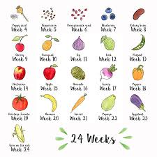 If you are not sure which to use, the safest thing is to just use fruit all the time. How Big Is My Baby Fruits And Vegetables Infographic
