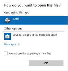 If no initial program is specified, program manager is launched. Unable To Open Ica File In Firefox Receiver For Windows 4 X Discussions