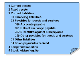 Chart Of Accounts Biblioteca Sap Turkey