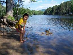 Northampton Beach Nys Dept Of Environmental Conservation Catskill Park Beach Northampton