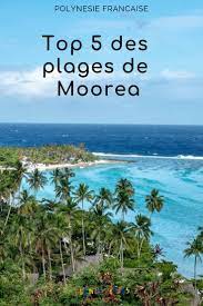 Top 5 Des Plages De Moorea Cocotiers Raies Requins Voyage Tahiti Voyage En Polynesie Voyage Polynesie Francaise
