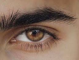 Hazel Brown Eyes Eye Makeup Eyes Brown Hazel Drawingseyes Browneyes Makeup Makeupforbrowney Aesthetic Eyes Beautiful Brown Eyes Brown Eyes Aesthetic