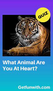 What Animal Are You At Heart What Animal Are You Personality Quizzes For Kids Dog Quizzes