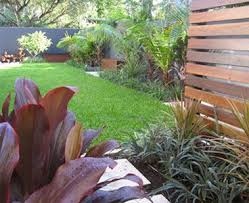 Balmoral Garden Photo Utopia Landscape Design Brisbane Qld Garden Landscape Design Tropical Landscape Design Front Yard Garden Design