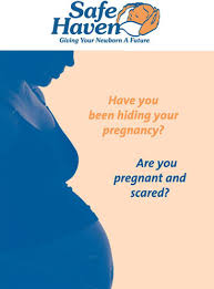 Safe Haven Maryland Department Of Human Services