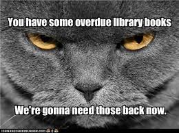 Anything to do with cats? Falvey Memorial Library Caturday Cat Meme Collection