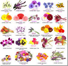 Poisonous plants brochure (pdf) picking and preparing flowers. 170 Edible Flowers Ideas Edible Flowers Flowers Edible