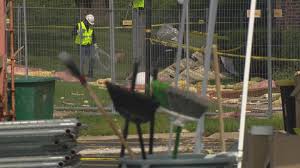 Storm Damage in Northwest Suburbs