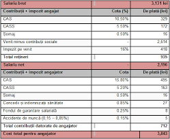 Gabriel BiriÈ™ Mutarea ContribuÈ›iilor Calcule Probleme È™i Posibile SoluÈ›ii Cursdeguvernare Ro Cursdeguvernare Ro