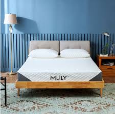 Get comprehensive information on mlily. Home Mlily