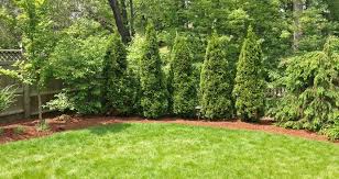 Front yard landscaping ideas for color. 10 Ideas For Landscaping Property Lines Stonebridge Lawn Garden