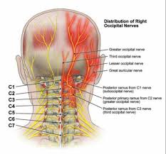 Pin By Colleen Archbold On Ehlers Danlos Occipital Neuralgia Neuralgia Occipital Nerve Block
