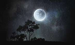 The full moon is a peak, and many feel the buzz. How Often Is There A Full Moon Worldatlas