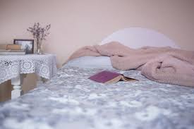 Bad bugs pest control in birmingham, al offers professional pest prevention and insect control services against ants, spiders, roaches, mosquitoes, bed bugs and more. Bed Bug Pest Control In Dagenham Rm8 Rm9 Rm10 Call Now 020 8166 9746