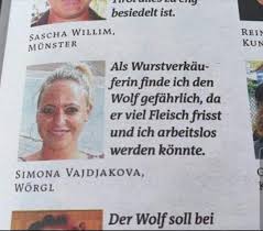 Interview armin wolf mit sebastian kurz zu straches schlagwort bevölkerungsaustausch. Ich War Jung Und Brauchte Die Upvotes