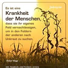 1pic4u Spruche Lebensweisheiten Spruche Nachdenkliche Spruche