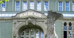 Maybe you would like to learn more about one of these? Zoo Aquarium Berlin Aktivitaten Fur Kinder Bei Regen Schulferien Eu Ferientermine Ferienaktivitaten Und Feiertage