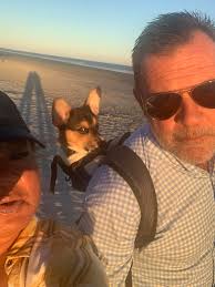 I love dogs! Some good corgi action in here too.