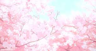 Anime, cherry, cherry blosso, japan, sakura, tree. Cherry Blossoms Anime Gifs In 2021 Anime Flower Anime Cherry Blossom Pink Wallpaper Anime
