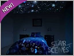 Glow In The Dark Secret Star Ceiling Mural Invisible By Day Incredible By Night I So Want To Do This In My Future Kids R Star Ceiling Glow Stars Dark Star