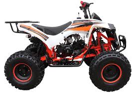 The following steps will help you in online vehicle bidding: Ace 125 Atv 3 Speed With Reverse 8 Wheels Gokarts Usaa