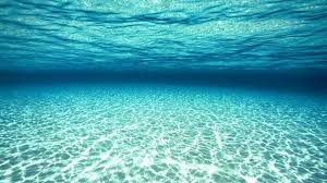 Blue Underwater Ocean Floor Amazing Picture Underwater Wallpaper Ocean Underwater Underwater Background