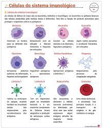 pin on imunologia