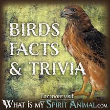 Explore key animal rights issues and find out what activists are doing to make a difference. Animal Facts Animal Trivia Animal Movies Songs Famous Animals