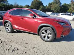 Image result for Matador Red 2017 NX