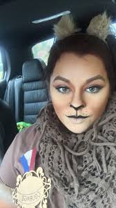 Nora S Lion Makeup Fasching Schminken Lowe Schminken Diy Lowenkostum