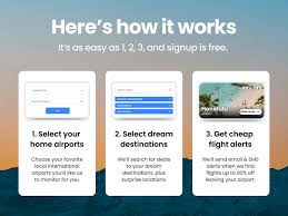 Dollar Flight Club Premium Plan: 1-Year Subscription | StackSocial