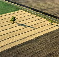 In den kleinen städten findet man noch heute zeigen aus. Landwirtschaft Wem Gehort Der Osten Harter Kampf Ums Ackerland Welt