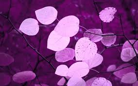 See more ideas about linkedin background, linkedin background image, background images. Free Download Purple Large Galaxy Twitter Header Hipster Wallpapers 1500x500 For Your Desktop Mobile Tablet Explore 76 Purple Twitter Backgrounds Purple Twitter Backgrounds Wwe Twitter Backgrounds Schumacher Twitter Wallpaper