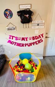 Happy 1st birthday to all the pups