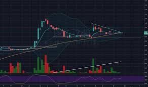 Plx Stock Price And Chart Nzx Plx Tradingview