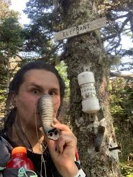 Are there camping spots between Grafton Notch and South Arm Road in Maine?