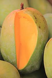Mango Fest Kesar Keri Mahotsav Ahmedabad Haat Vastrapur Http Www Toplocal In Meyve Pinterest Veggies Tropical Fruits And Fresh Fruit