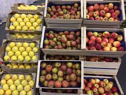 Les Pommes Bio Chez Lomme Primeurs Legume Bio Fruits Et Legumes Pomme