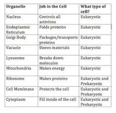 10 Best Cell Parts Biology Project Images Cell Parts