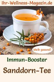 Sanddorn Tee Schnelles Rezept Furs Immunsystem Ingwertee Gesund Sanddorn Rezepte Mit Ingwer