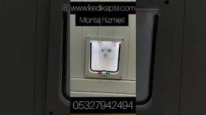 sineklikcim kedi kapisi kedi gecis kapisi kopek kapisi kopek gecis kapisi