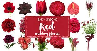 We have many different styles of wedding invites, including personalised, rustic, vintage, floral, modern, and many more. Names And Types Of Red Wedding Flowers With Seasons Pics