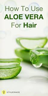How To Use Aloe Vera Gel For Hair Growth Aloe Vera For Hair Aloe Vera Gel For Hair Growth Aloe Vera Hair Mask