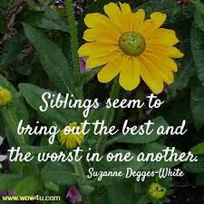 I don't believe an accident of birth makes people sisters or brothers. 33 Sibling Quotes Inspirational Words Of Wisdom