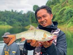 Pitt hanif anak fauziah nawi. Biodata Pengarah Pitt Hanif Anak Fauziah Nawi Yang Meninggal Dunia Iluminasi