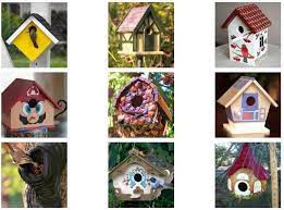 We did not find results for: Rumah Burung Yang Luar Biasa Idea Dan Gambar