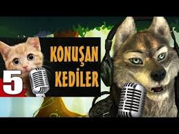 Konusan Kediler 21 En Komik Kedi Videolari Youtube